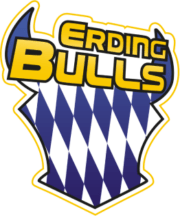logo (1)