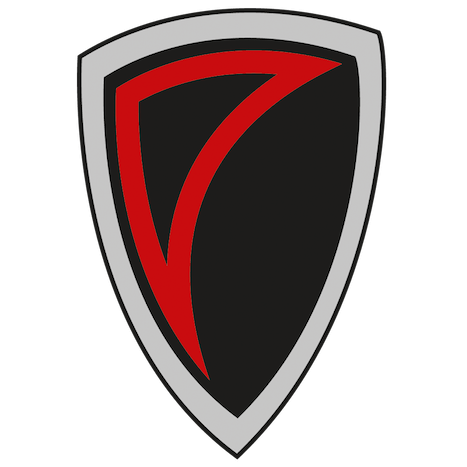 solingen-paladins